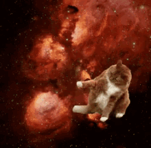 宇宙ねこ　うちゅうねこ　宇宙猫 GIF - Space Cat GIFs