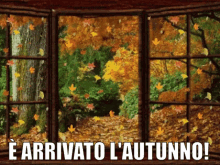 Autunno Fall Season GIF - Autunno Fall Season Novembre GIFs