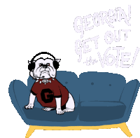 Georgia Ga Sticker - Georgia Ga Georgia Runoff Stickers