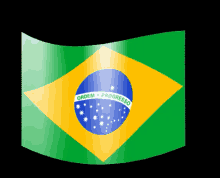 brailian flag brazil