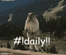 Daily Daily Command GIF - Daily Daily Command Streak GIFs
