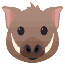 nature boar