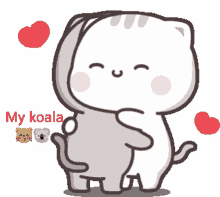 kiss koala