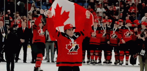 Team Canada Canada GIF - Team Canada Canada Hockey - Discover & Share GIFs