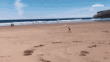 Continuous Backflip People Are Awesome GIF - Continuous Backflip People Are Awesome Acrobatic GIFs