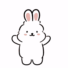 rabbit happy