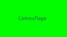 What About Me Camo GIF - What About Me Camo Camoflauge GIFs