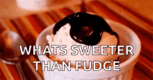 Icecream Fudge GIF - Icecream Fudge Hot GIFs
