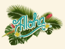 aloha hawaii aloha hawaii