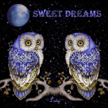 Sweet Dreams Owl GIF - Sweet Dreams Owl Sparkle GIFs