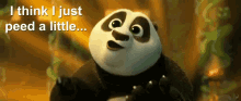 kung fu panda peed a little pee