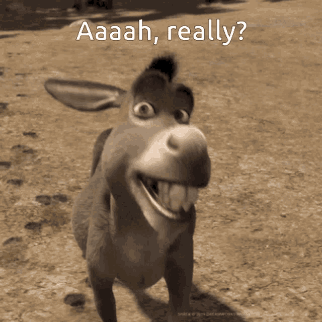 Really Donkey GIF - Really Donkey Ahhh GIFs