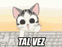 Tal Vez Gato En El Teclado GIF - Cat Keyboard Typing GIFs