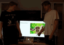 Powerpoint Otters GIF - Powerpoint Otters Presentation GIFs
