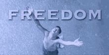 Freedom GIF - Freedom Shawshank Redemption GIFs