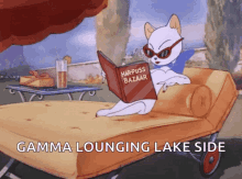 Tom And Jerry Lounging GIF - Tom And Jerry Lounging Cat GIFs