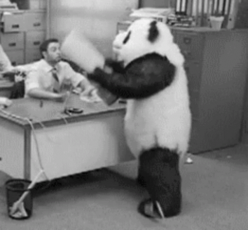 ✩ Humeur en GIF ! - Page 23 Angry-panda-smash