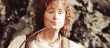 Lotr Lord Of The Rings GIF - Lotr Lord Of The Rings Billy Boyd GIFs