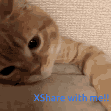 Share X Share GIF - Share X Share Share App GIFs