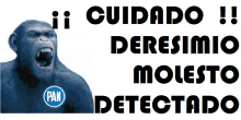 Deresimio Derechango Derechairo Detectado GIF - Deresimio Derechango Derechairo Detectado GIFs