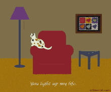 Love Cats GIF - Love Cats You Light Up My Life GIFs