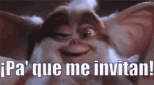 si ya sabes como me pongo pa que me invitan borracho alcoh%C3%B3lico si ya sabes como me pongo pa que me invitan borracho alcoh%C3%B3lico