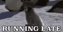 Running Late Penguin GIF - Running Late Penguin Run GIFs