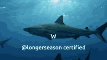 Longerseason GIF - Longerseason GIFs