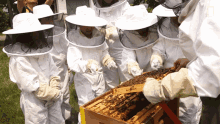 Beekeeper Nat Geo Wild GIF - Beekeeper Nat Geo Wild Beekeeping GIFs