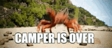 Camper Crab GIF - Camper Crab Camper Is Over GIFs