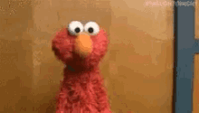 Elmo Shrug GIF - Elmo Shrug GIFs