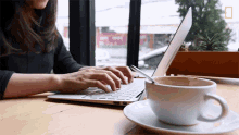 Working National Geographic GIF - Working National Geographic Typing GIFs