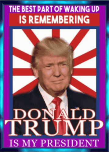 President Trump America GIF - President Trump America Donald Trump GIFs