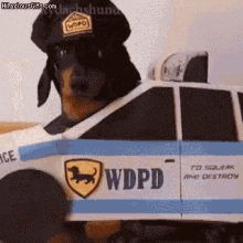 Cop Wiener Dog GIF - Cop Wiener Dog Cursoe Plays Cops And Robbers GIFs