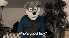 Who Is Good Boy Who Knows GIF - Who Is Good Boy Who Knows Is GIFs