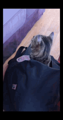 bag cat poupie kitty cute bag cat poupie kitty cute