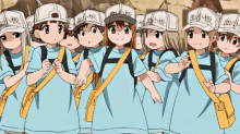 Platelets Cells At Work GIF - Platelets Cells At Work GIFs