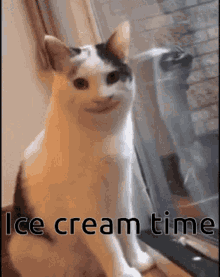 Bella When She Gets Ice Cream For Dinner Ice Cream Time GIF - Bella When She Gets Ice Cream For Dinner Ice Cream Time Polite Cat GIFs