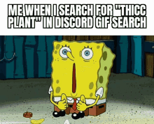Thicc Plant Discord Gif Search GIF - Thicc Plant Discord Gif Search GIFs