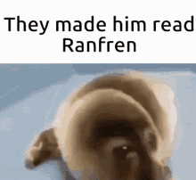 Crying Seal Ranfren GIF - Crying Seal Ranfren GIFs