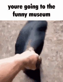 The Funny Museum Monke GIF - The Funny Museum Monke GIFs