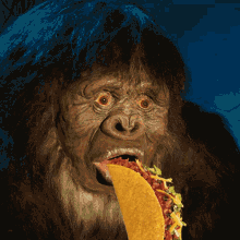 Yum GIF - Bigfoot Sasquatch Taco GIFs