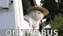 Cat Hat GIF - Cat Hat Bye GIFs