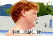 Ginji Where GIF - Ginji Where Are GIFs