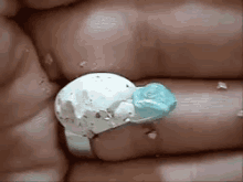 baby lizard egg hatching hatching birth baby lizard egg hatching hatching birth