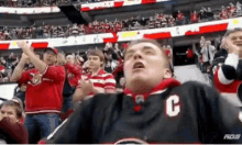 Ottawa Senators GIF - Ottawa Senators Scream GIFs