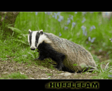 Huffles Hufflepuff GIF - Huffles Hufflepuff Hufflefam GIFs