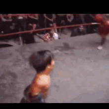 Boxing Funny GIF - Boxing Funny Punch In The Face GIFs