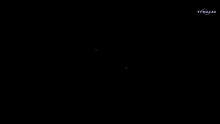 d4c d4c