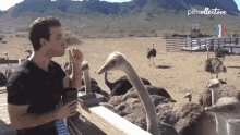 Mr Hollands Ostrich Ill Take GIF - Mr Hollands Ostrich Ill Take Hungry GIFs